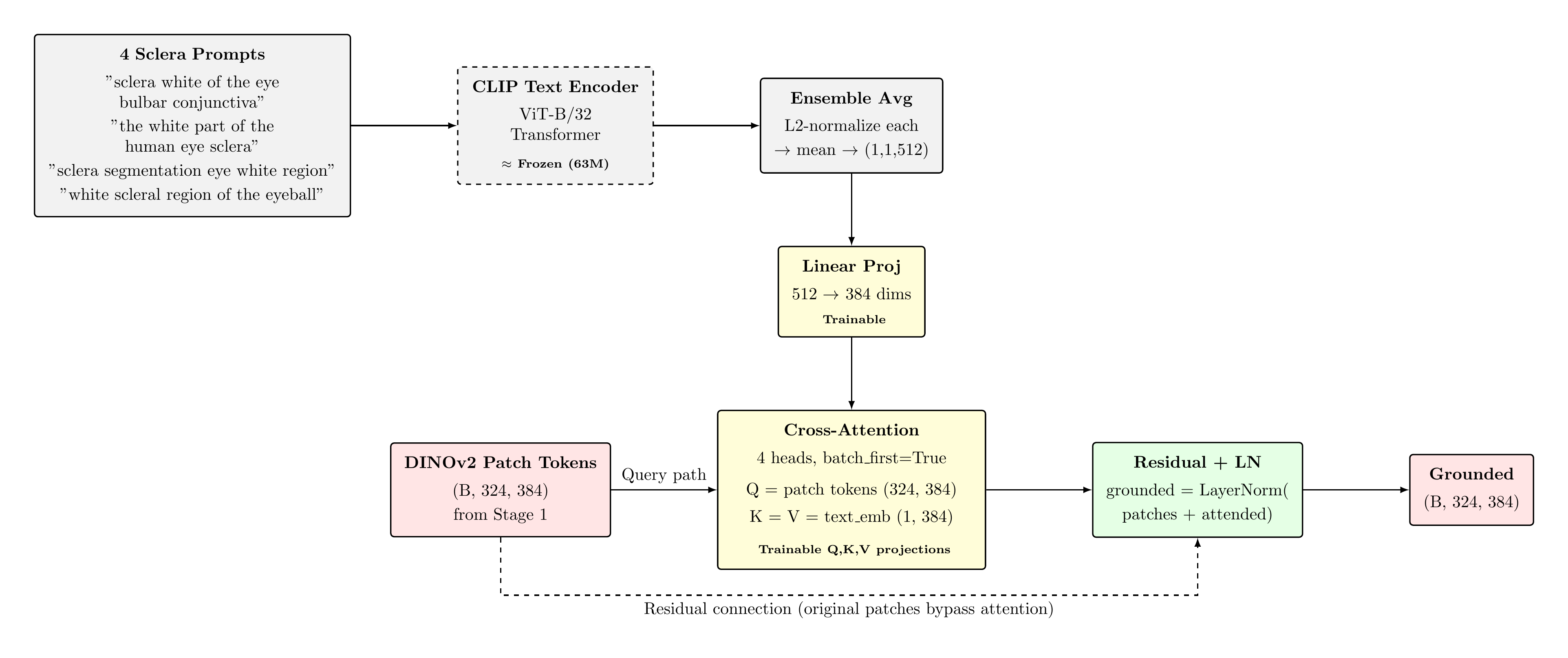 CLIP Text Grounding Module